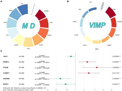 Frontiers Development And Validation Of A Novel Necroptosis Related